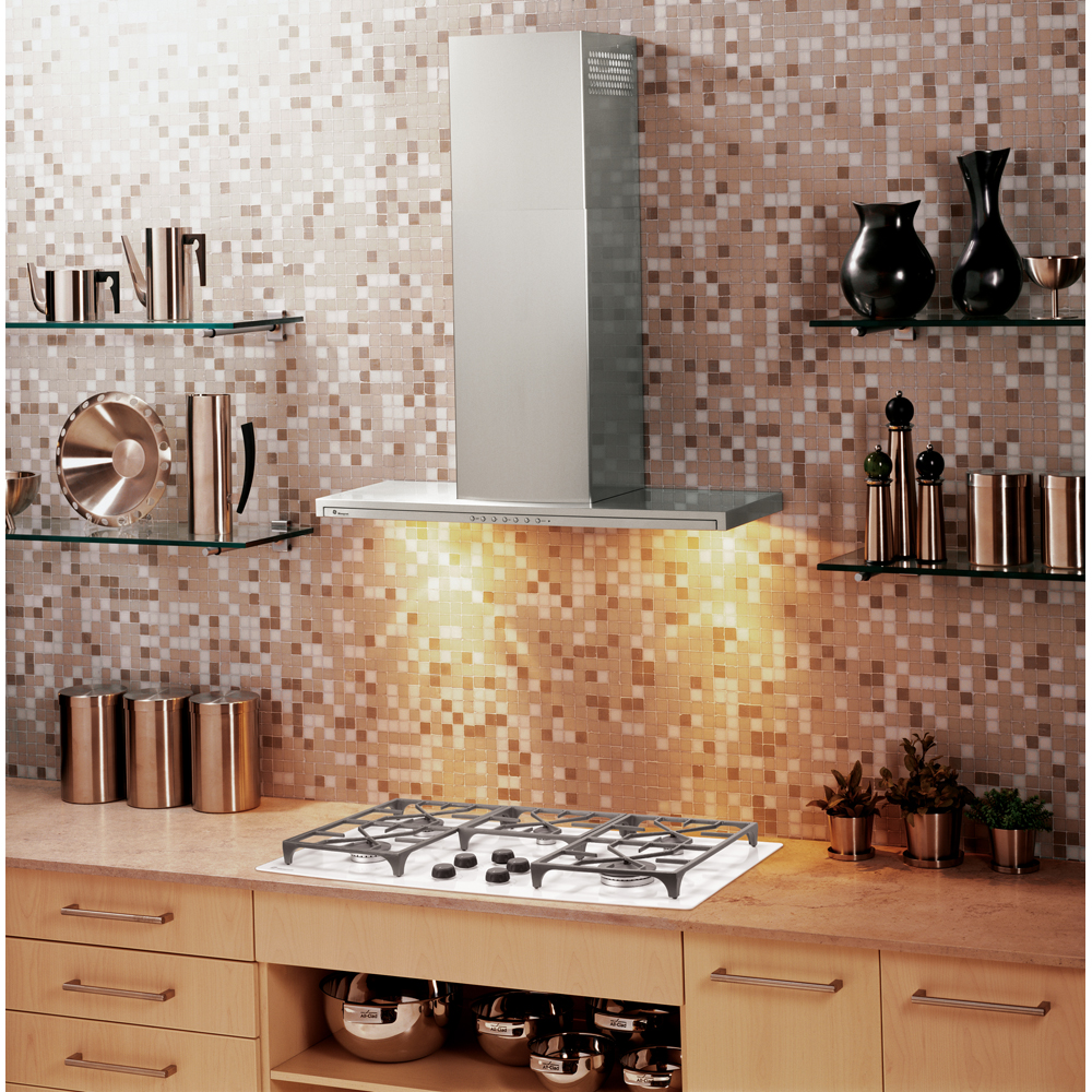 GLOBAL_PRODUCTS_36INCH_Stainless_Steel_ZV800SJSS_MONOGRAM_Angle_Lifestyle.jpg